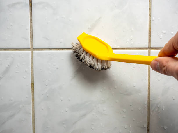 Best Kitchen Mold Remediation in Griswold, IA